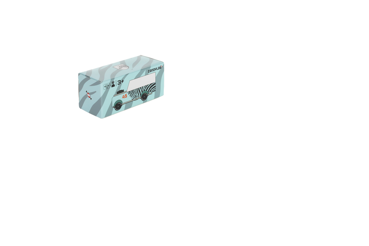 Mini Zebra Drifter